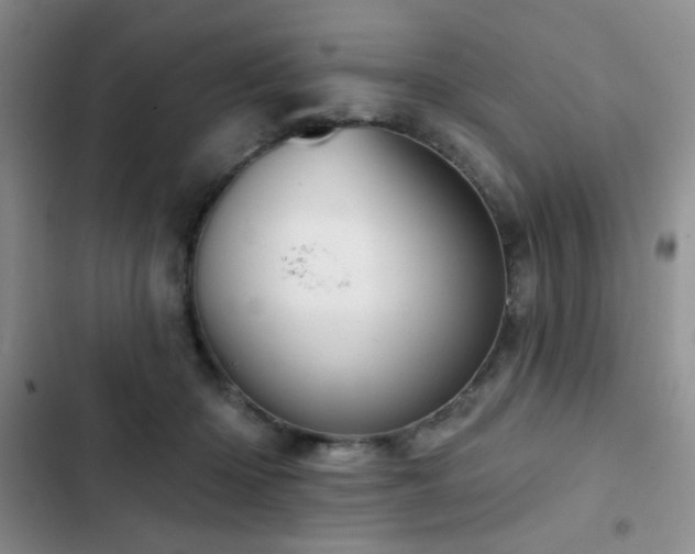 X0000102850414200808181422
