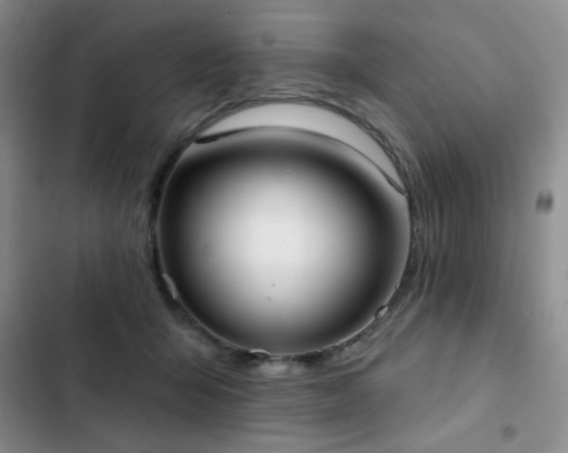 X0000102850415200808181422