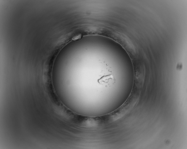 X0000102850416200808181422
