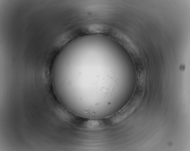 X0000102850418200808181422