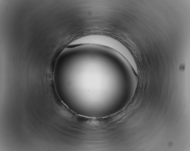 X0000102850419200808181422