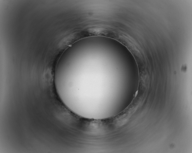 X0000102850420200808181422
