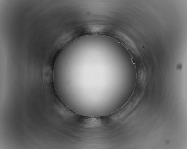 X0000102850421200808181422