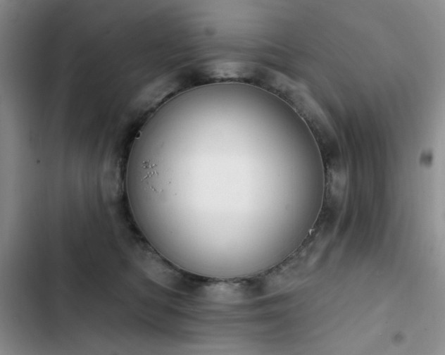 X0000102850422200808181422