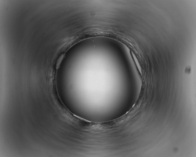 X0000102850423200808181422