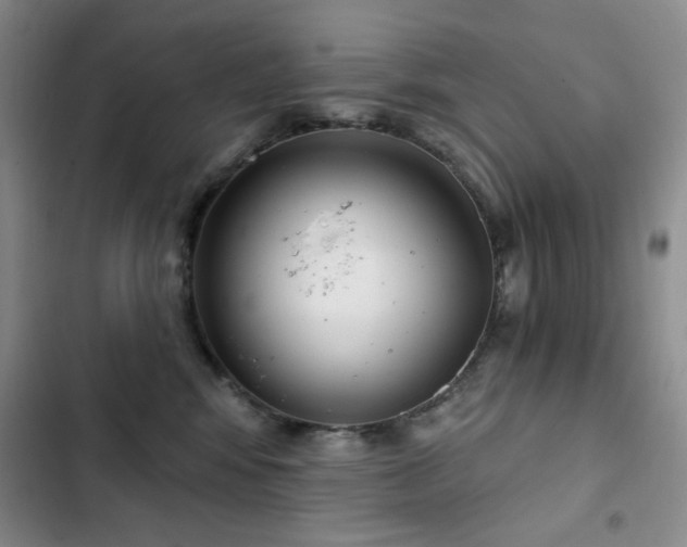 X0000102850424200808181422