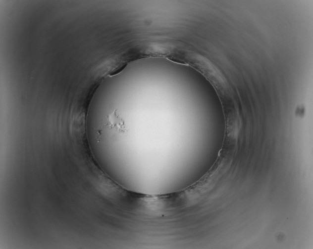 X0000102850425200808181422