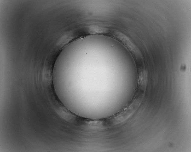 X0000102850426200808181422