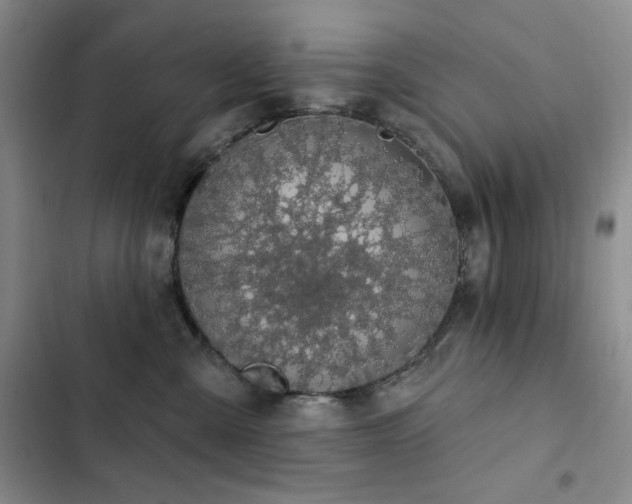 X0000102850427200808181422