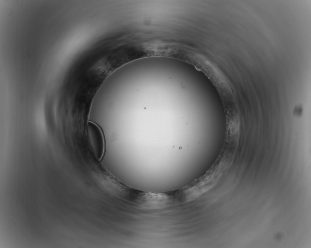 X0000102850429200808181422