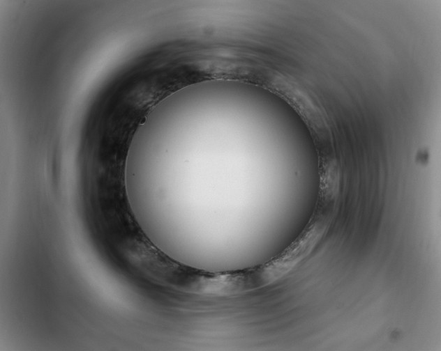 X0000102850430200808181422
