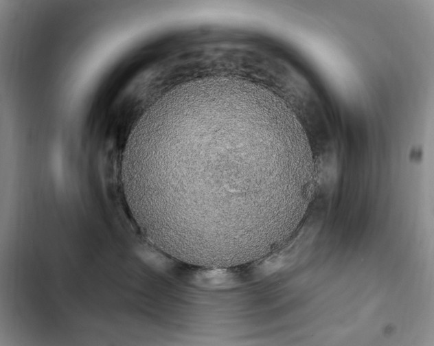 X0000102850431200808181422