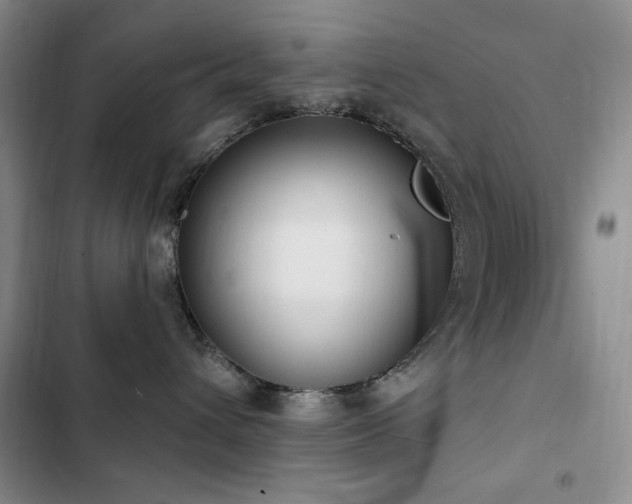 X0000102850432200808181422
