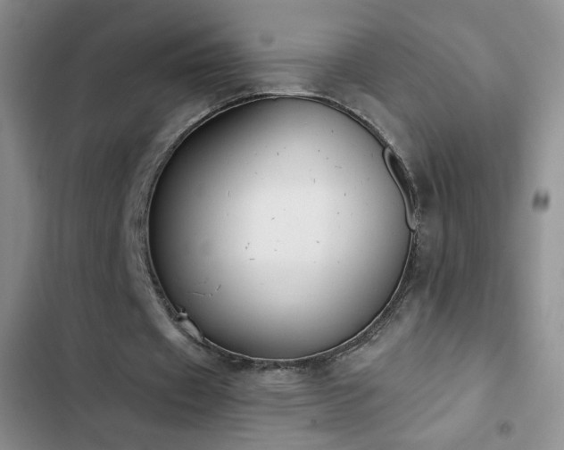 X0000102850433200808181421