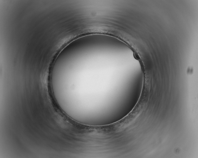 X0000102850434200808181421