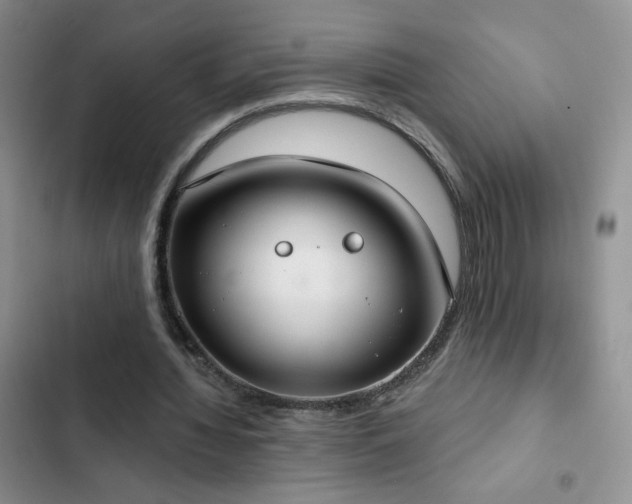 X0000102850436200808181421