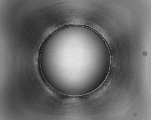 X0000102850437200808181421