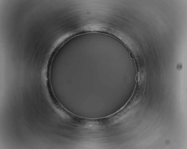 X0000102850438200808181421