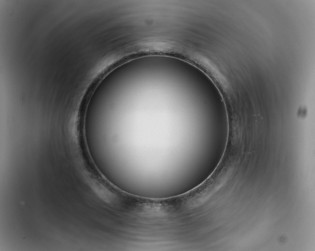 X0000102850439200808181421