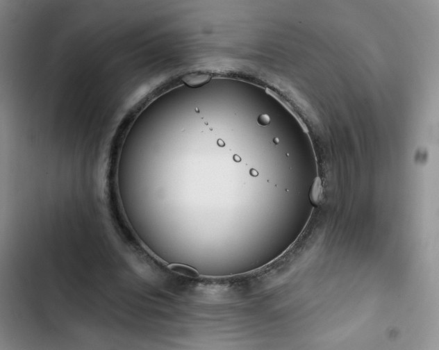 X0000102850440200808181421
