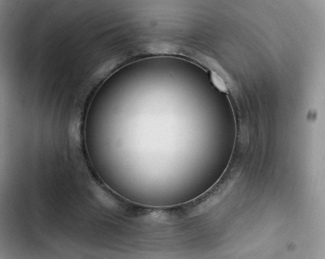 X0000102850441200808181421