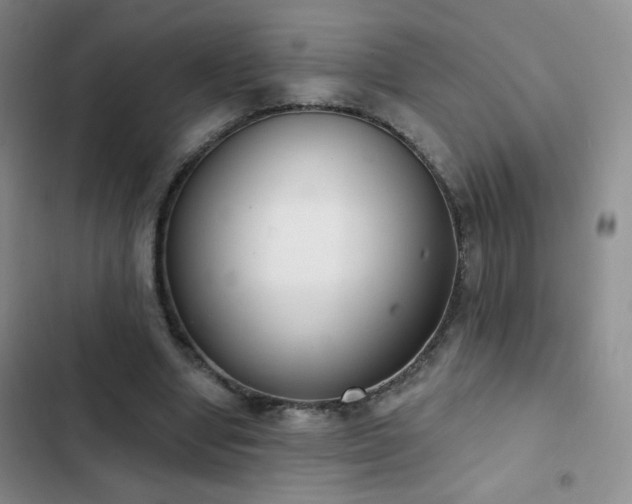 X0000102850442200808181421