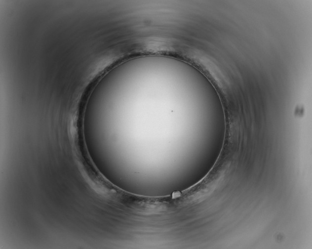 X0000102850443200808181421