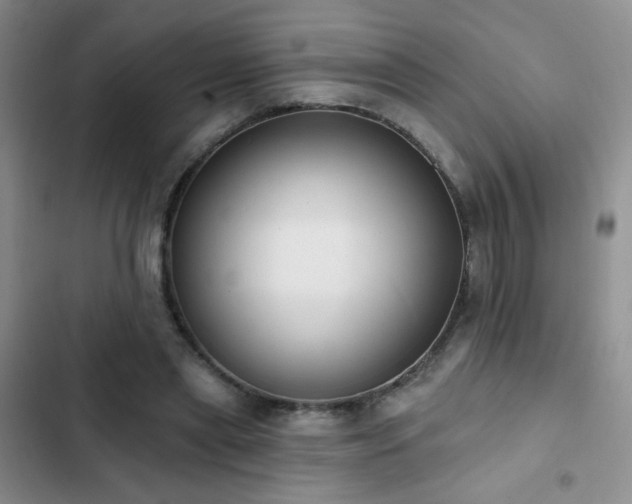 X0000102850445200808181421