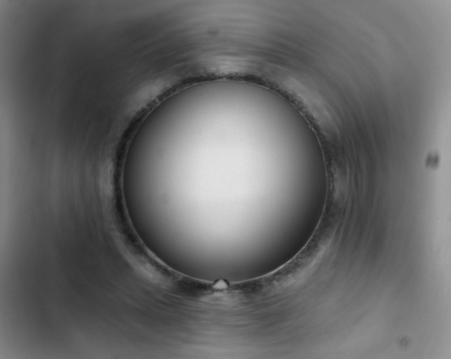 X0000102850447200808181421