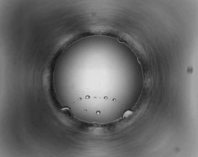 X0000102850448200808181421