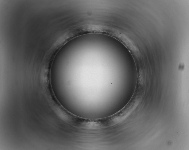 X0000102850449200808181421