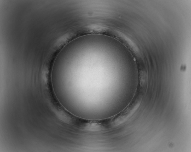 X0000102850451200808181421