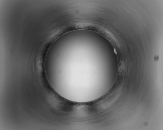 X0000102850452200808181421