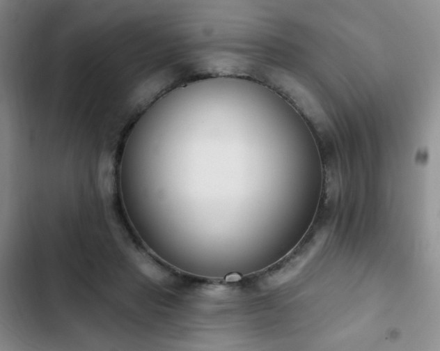 X0000102850453200808181421