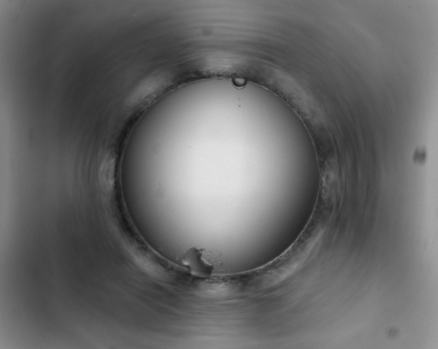 X0000102850454200808181421