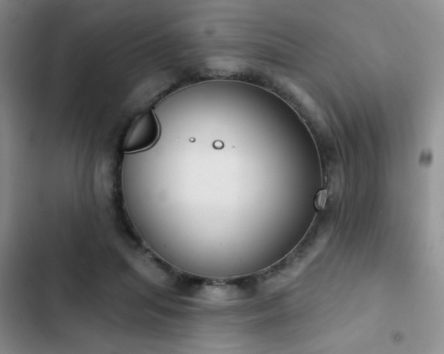 X0000102850455200808181421