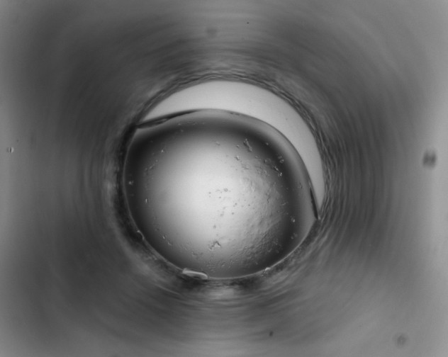 X0000102850456200808181421