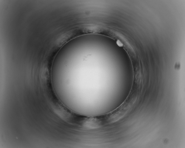 X0000102850459200808181421