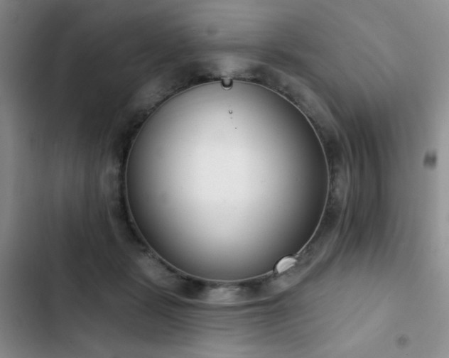 X0000102850461200808181421