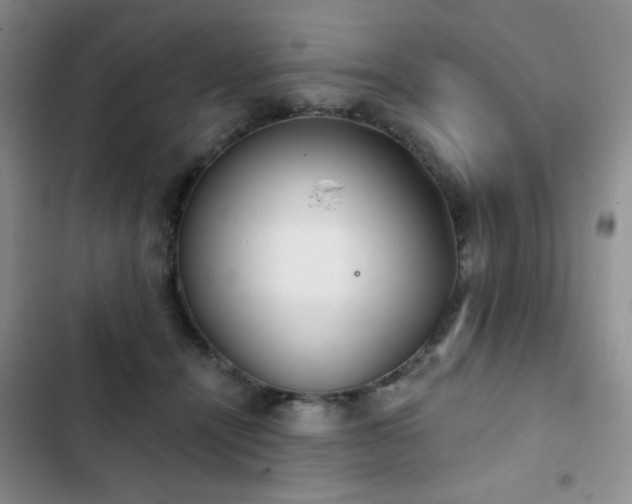 X0000102850464200808181421