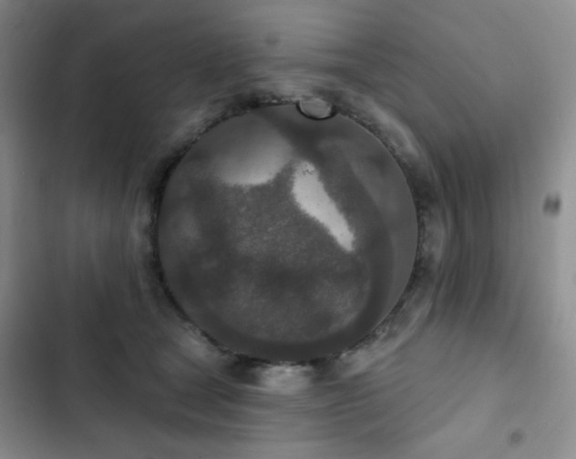X0000102850465200808181421