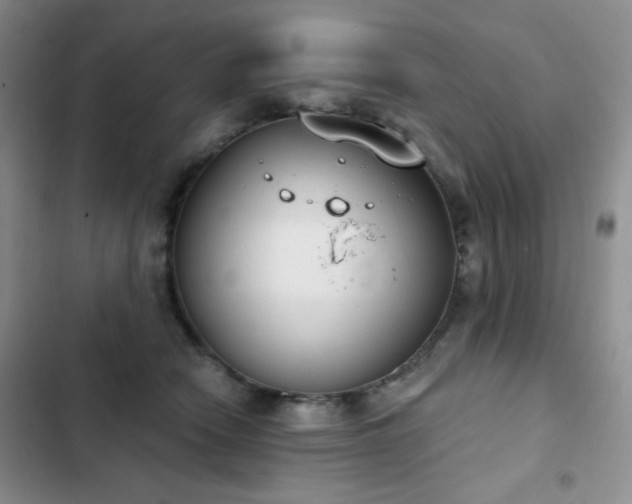 X0000102850466200808181421