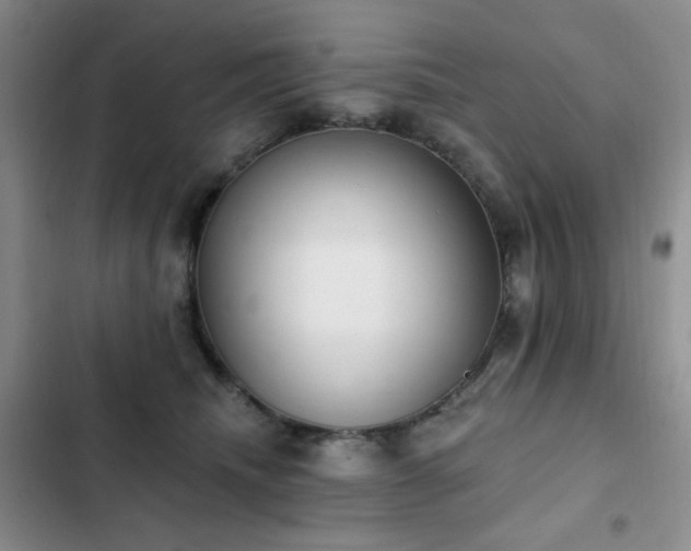 X0000102850468200808181421