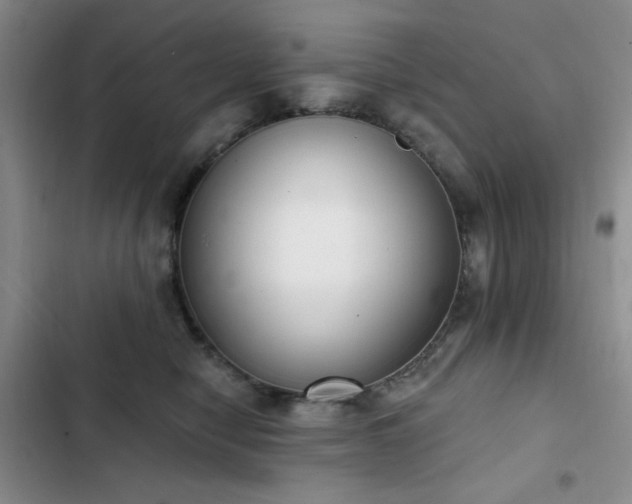 X0000102850470200808181421