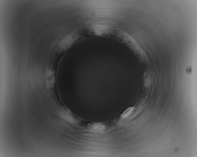 X0000102850471200808181421