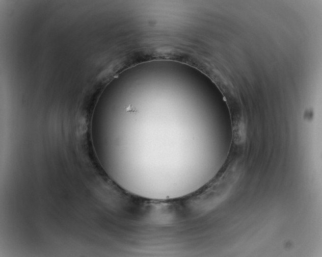 X0000102850472200808181421