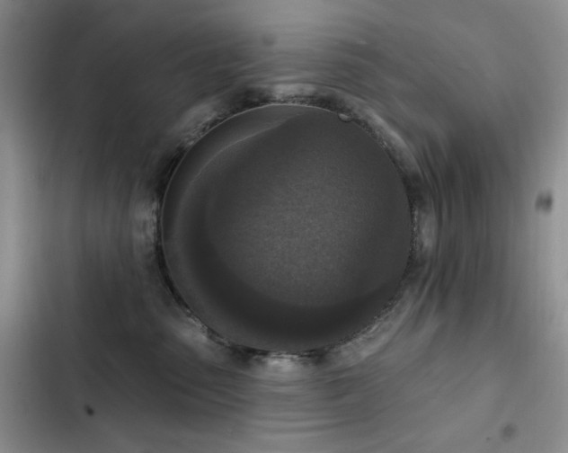 X0000102850475200808181421