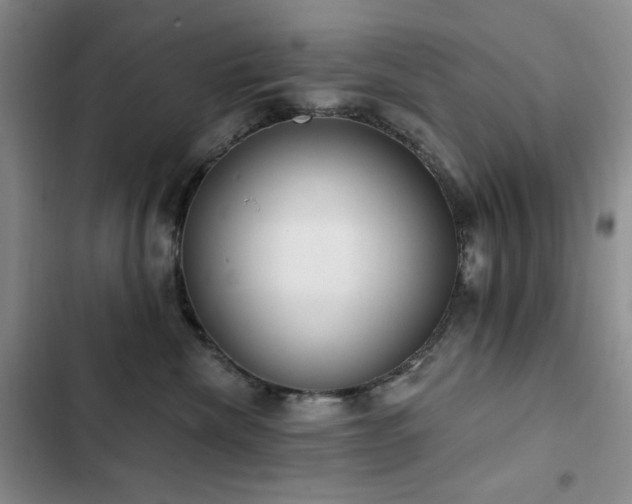 X0000102850476200808181421