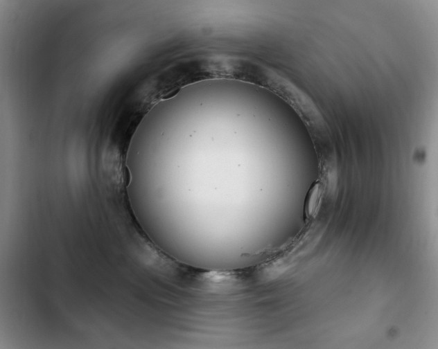 X0000102850477200808181422
