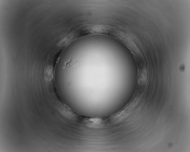 X0000102850478200808181422